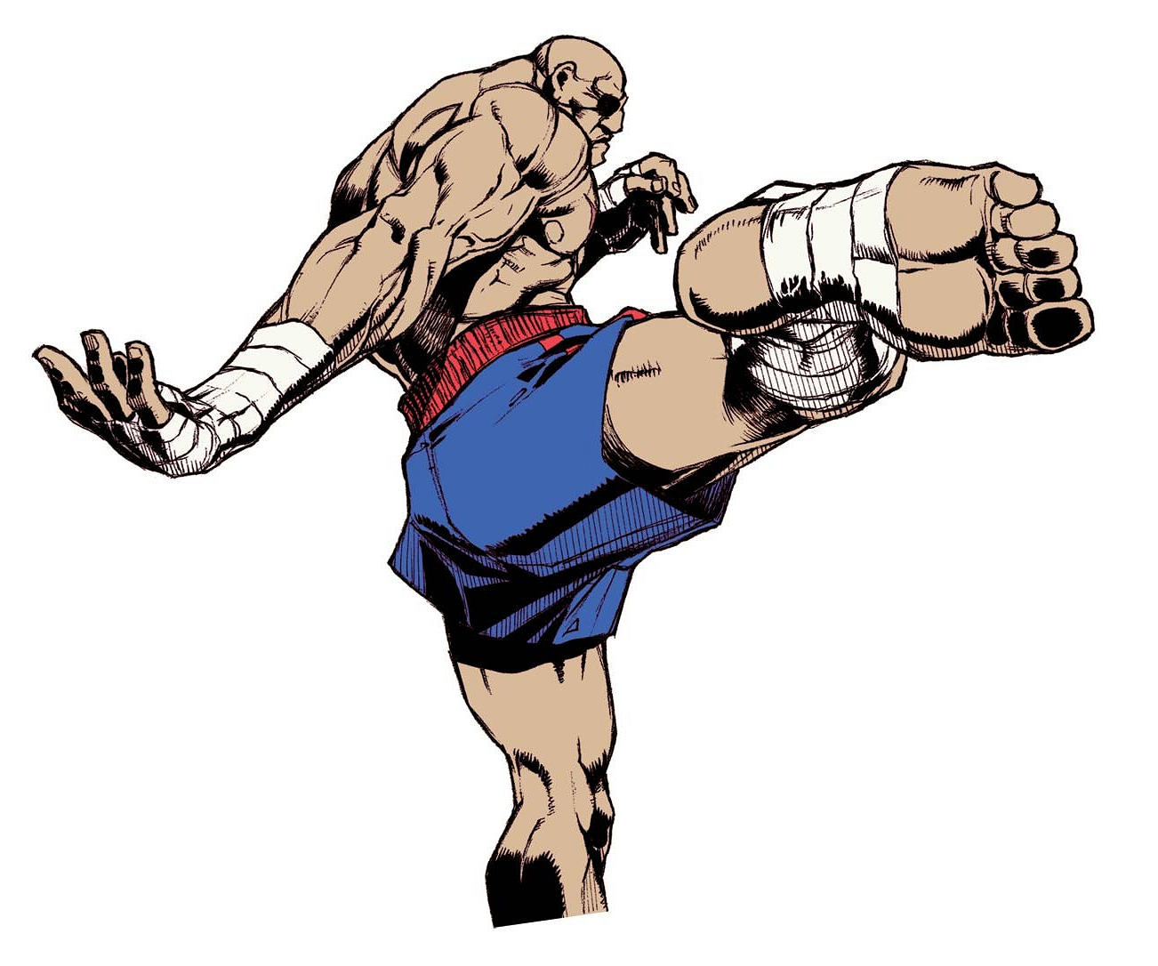 Detail Sagat Street Fighter Png Nomer 27