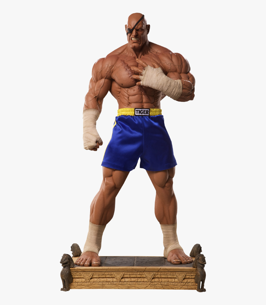 Detail Sagat Street Fighter Png Nomer 35