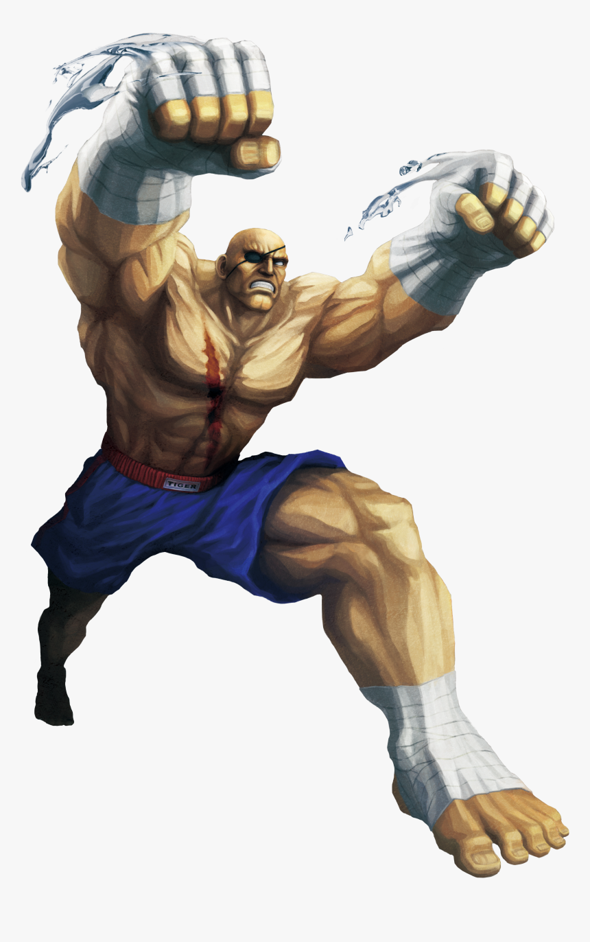 Detail Sagat Street Fighter Png Nomer 7