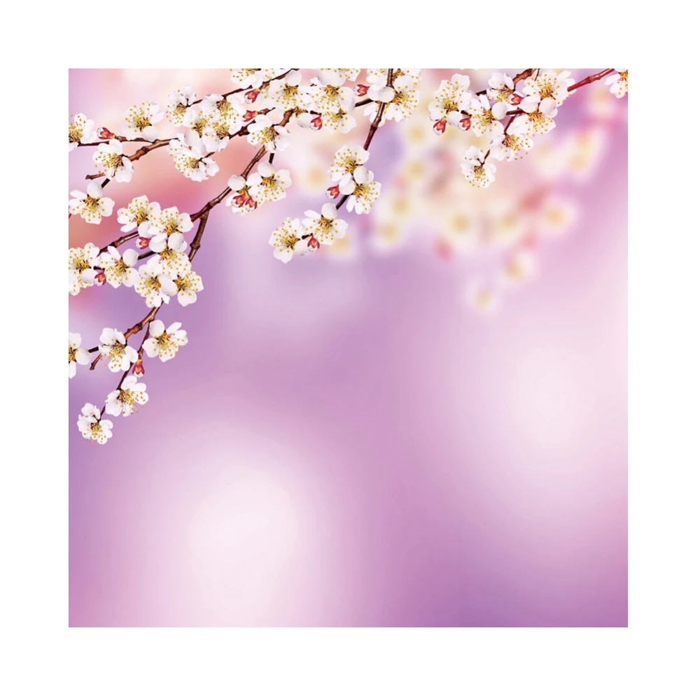 Detail Sakura Animasi Nomer 55