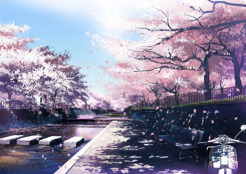 Detail Sakura Background Nomer 18