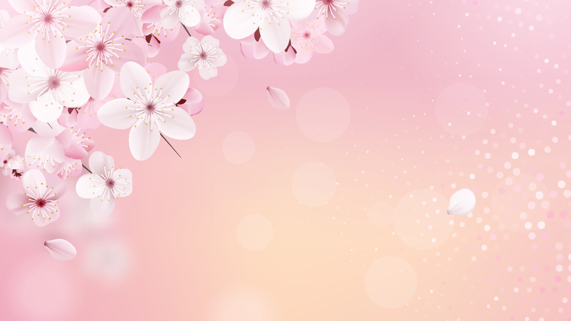 Detail Sakura Background Nomer 24