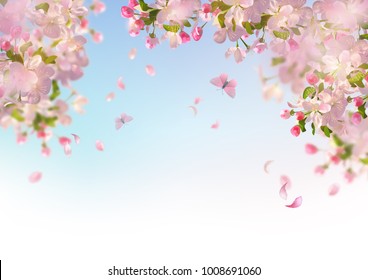 Detail Sakura Background Nomer 25