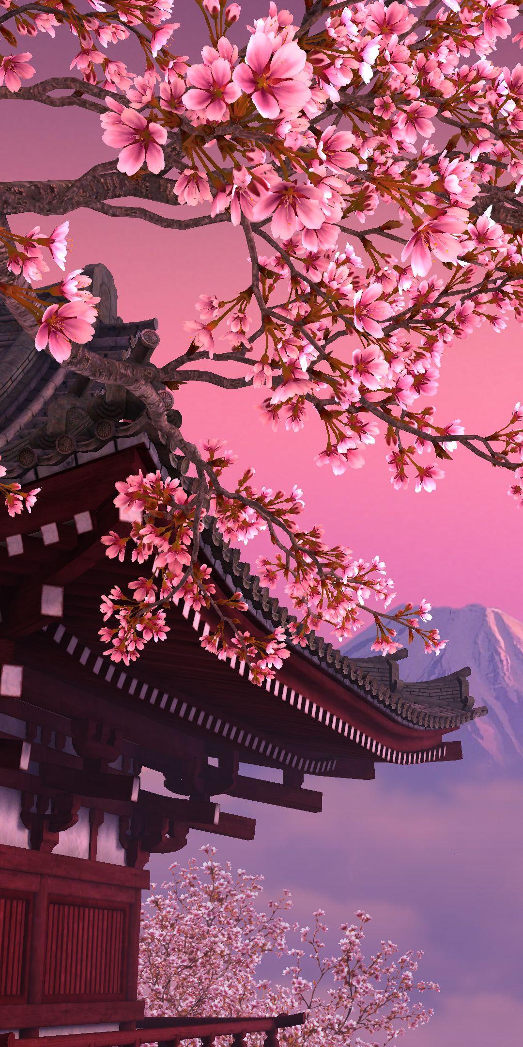 Detail Sakura Background Nomer 31