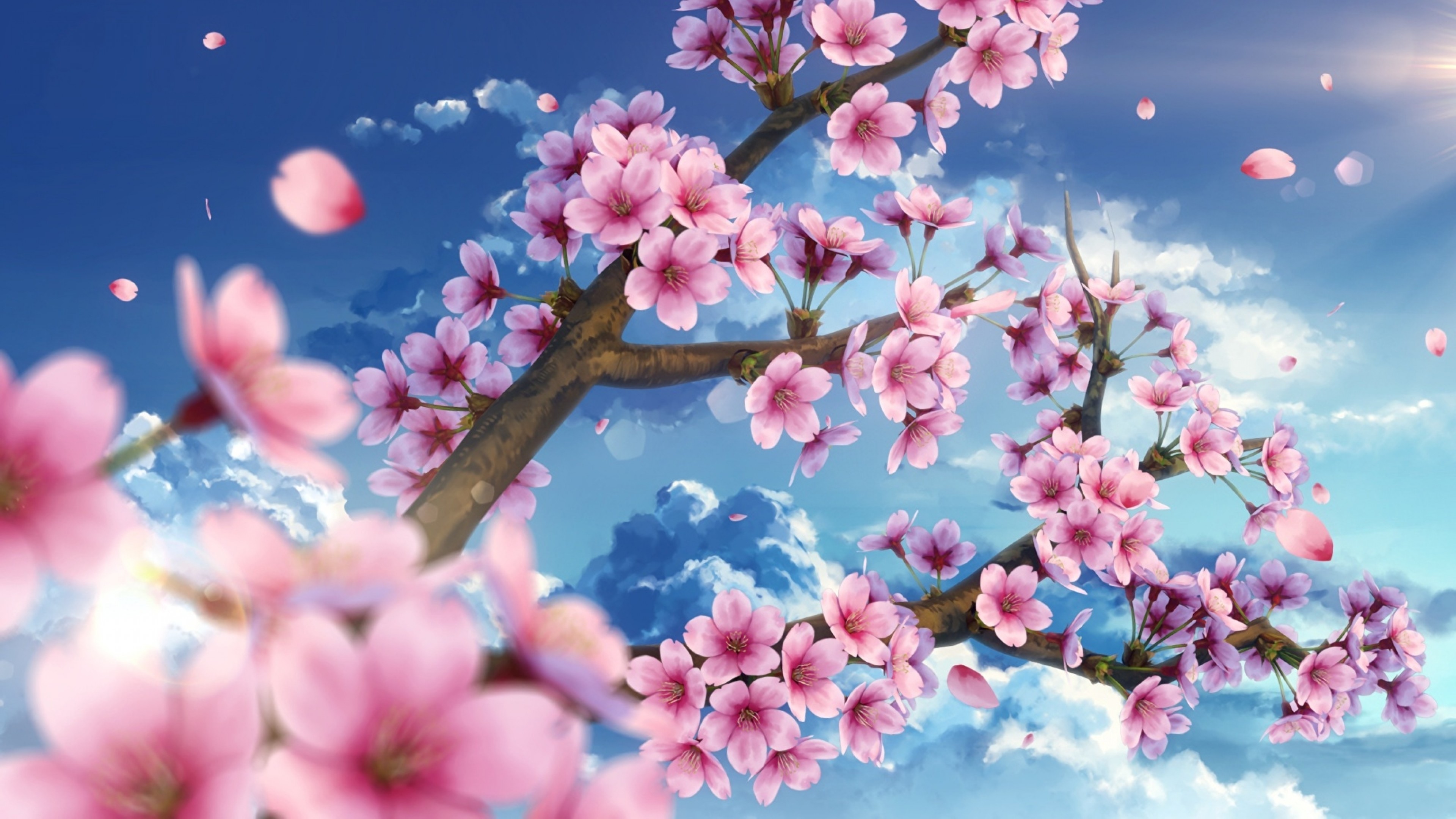 Detail Sakura Background Nomer 9