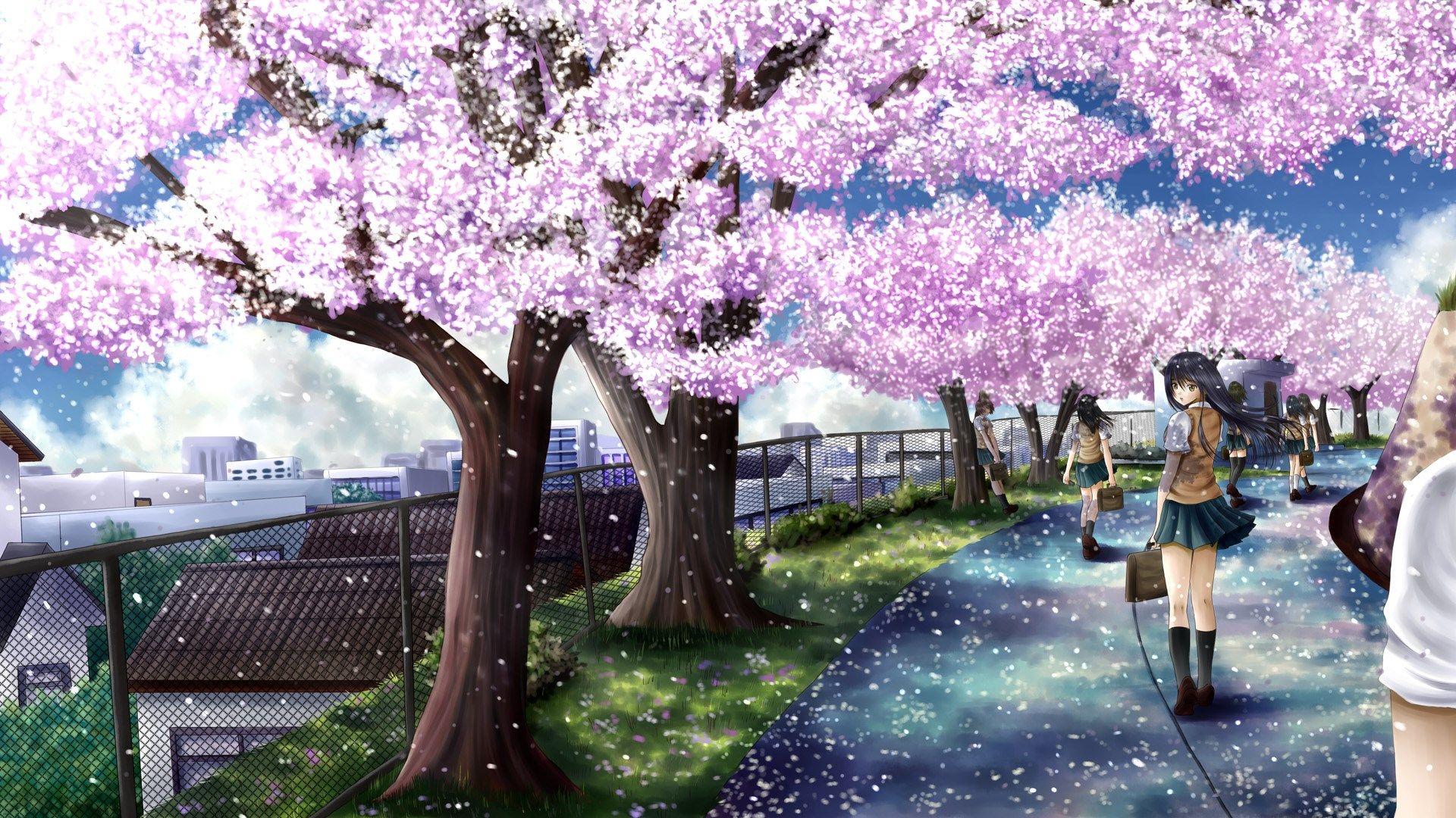 Detail Sakura Background Hd Nomer 26