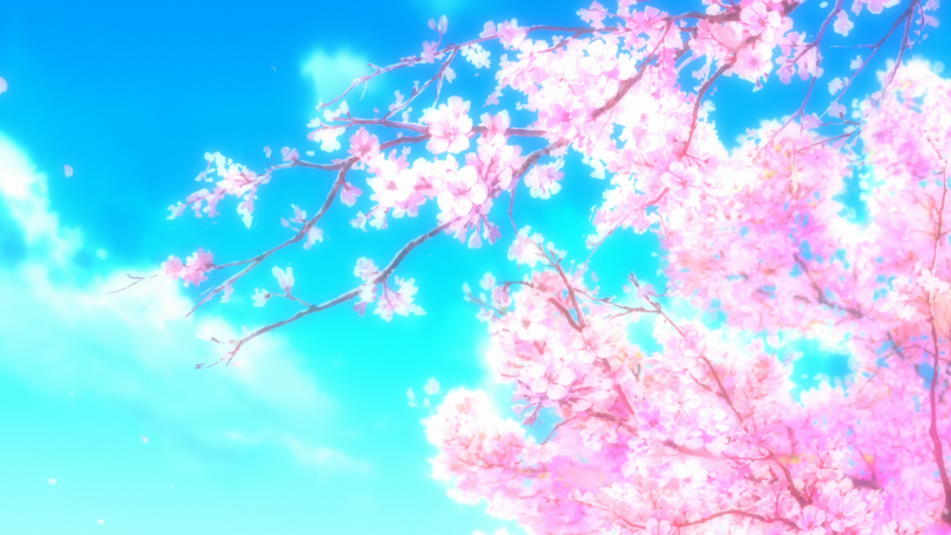 Detail Sakura Background Hd Nomer 27