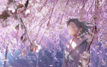 Detail Sakura Background Hd Nomer 32