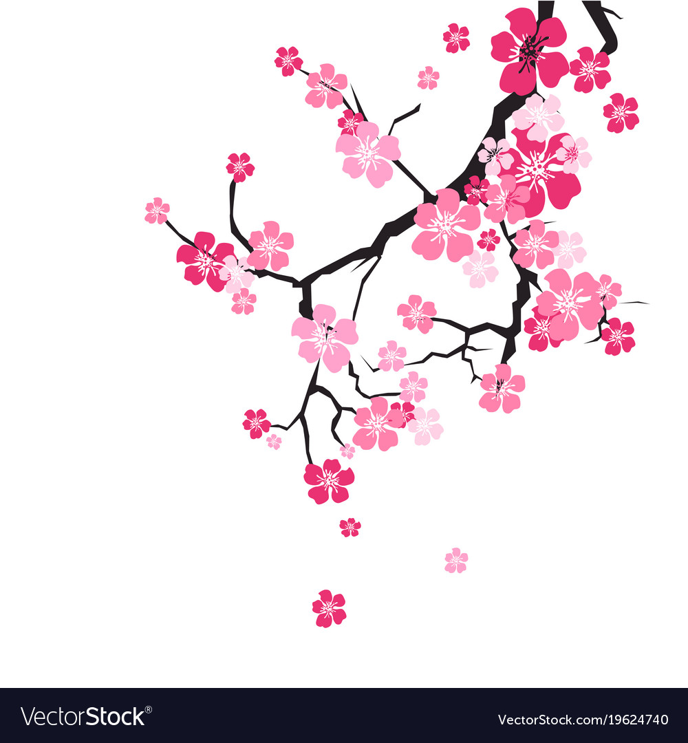 Detail Sakura Background Vector Nomer 2