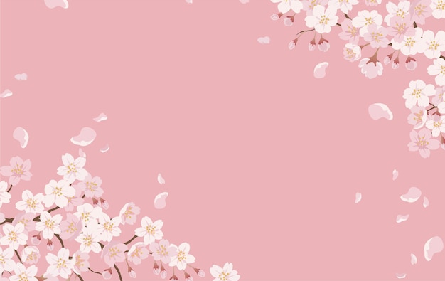 Detail Sakura Background Vector Nomer 11