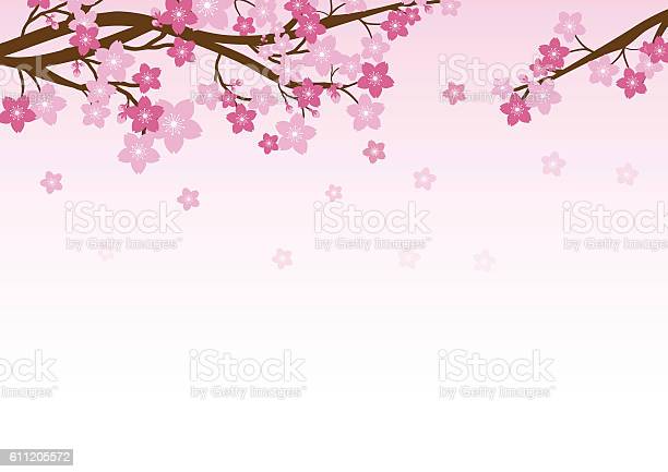 Detail Sakura Background Vector Nomer 12