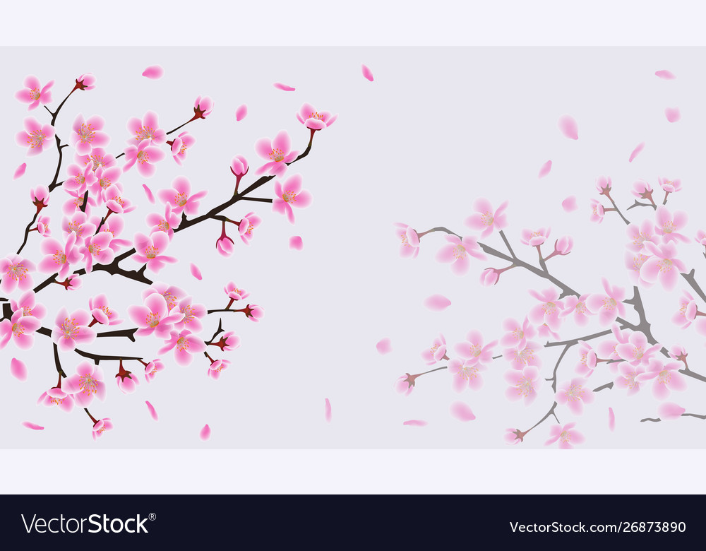 Detail Sakura Background Vector Nomer 18