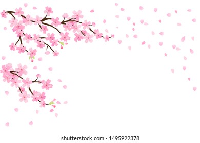 Detail Sakura Background Vector Nomer 20