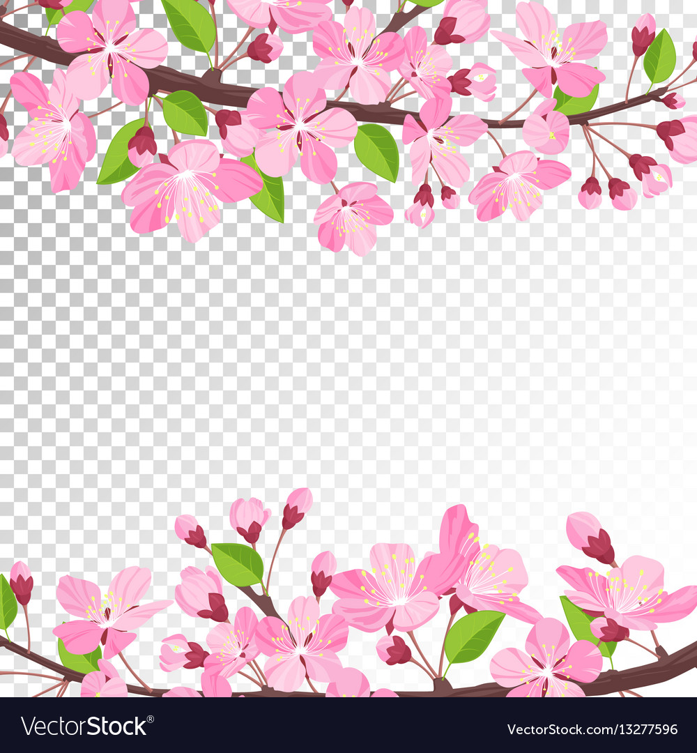 Detail Sakura Background Vector Nomer 21