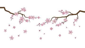 Detail Sakura Background Vector Nomer 24