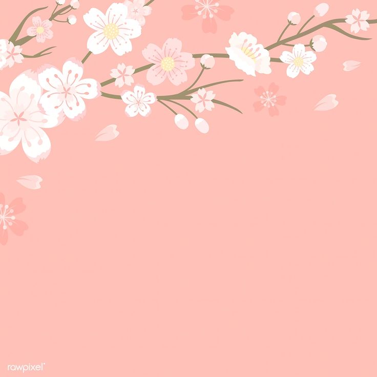 Detail Sakura Background Vector Nomer 25