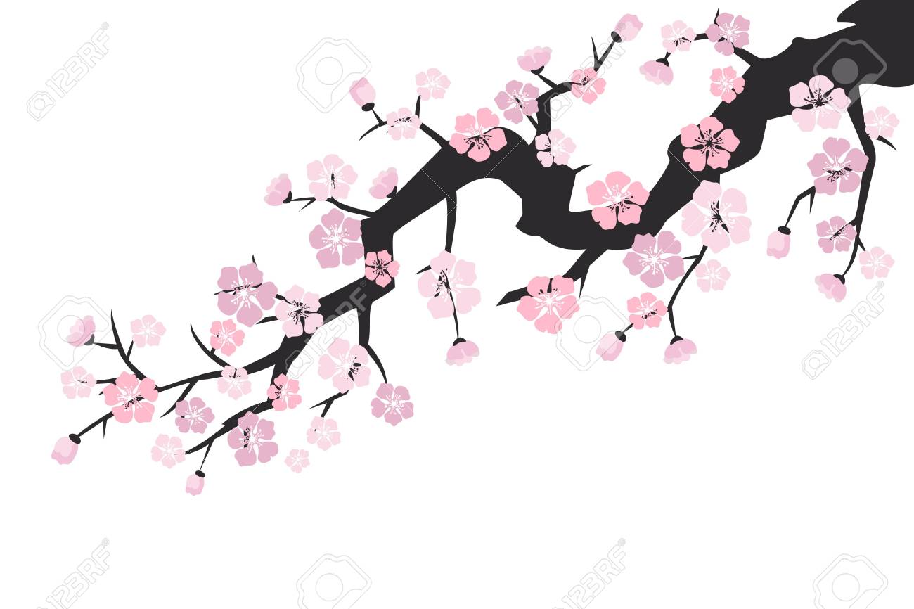 Detail Sakura Background Vector Nomer 33