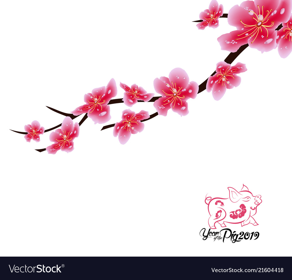 Detail Sakura Background Vector Nomer 34