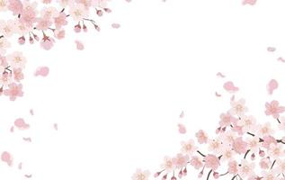 Detail Sakura Background Vector Nomer 5