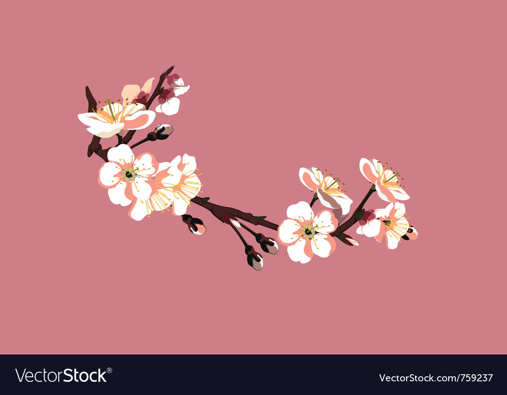 Detail Sakura Background Vector Nomer 41