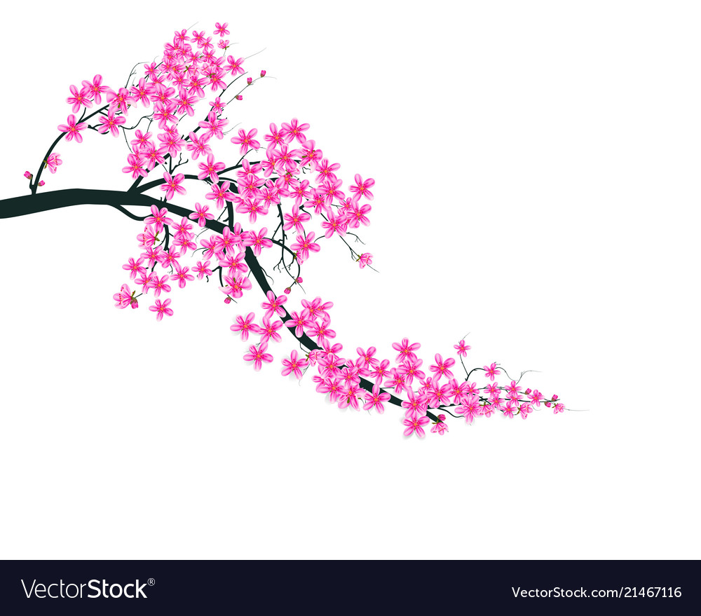 Detail Sakura Background Vector Nomer 47