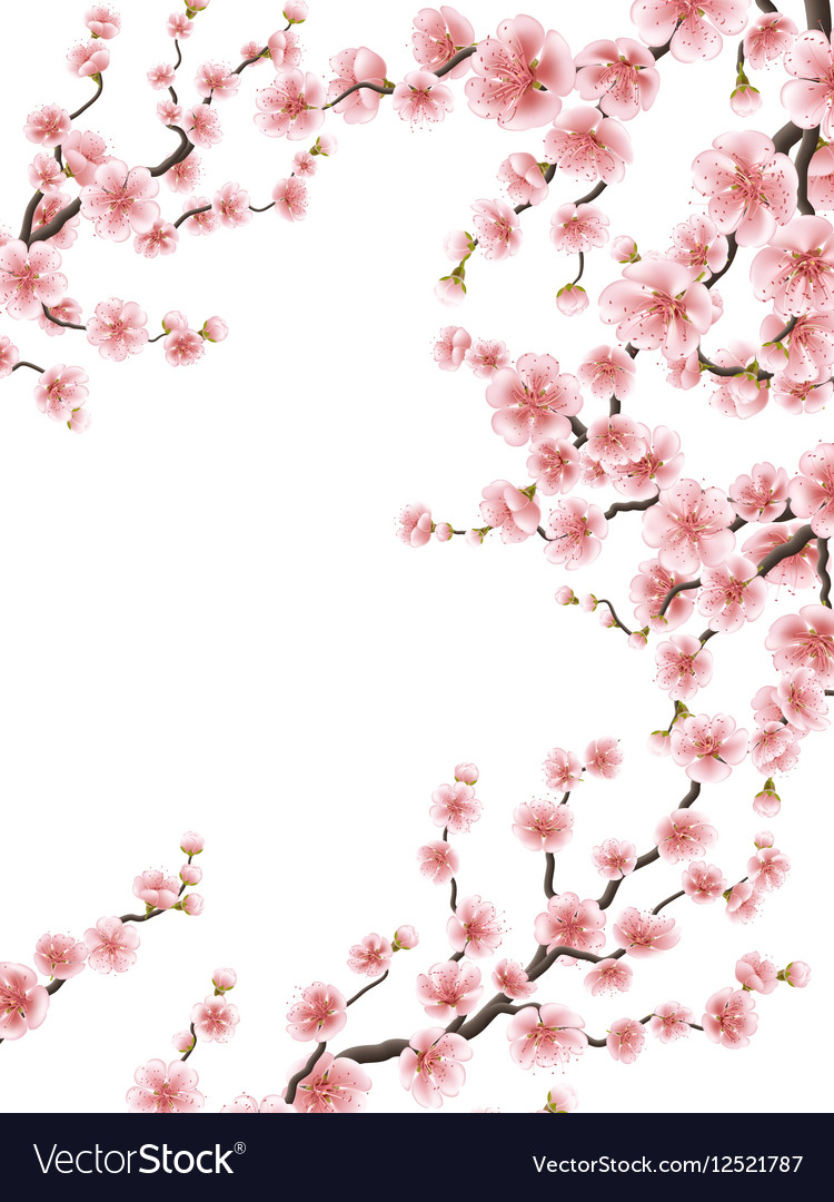 Detail Sakura Background Vector Nomer 52