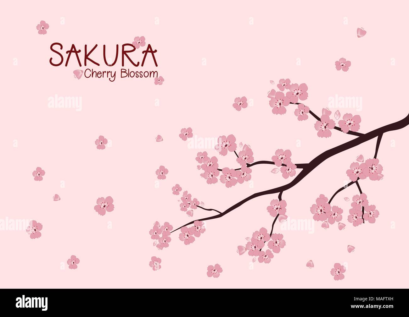 Detail Sakura Background Vector Nomer 58