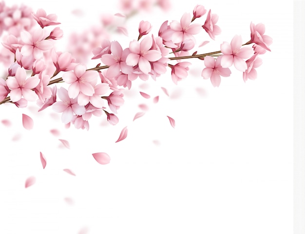 Detail Sakura Background Vector Nomer 8