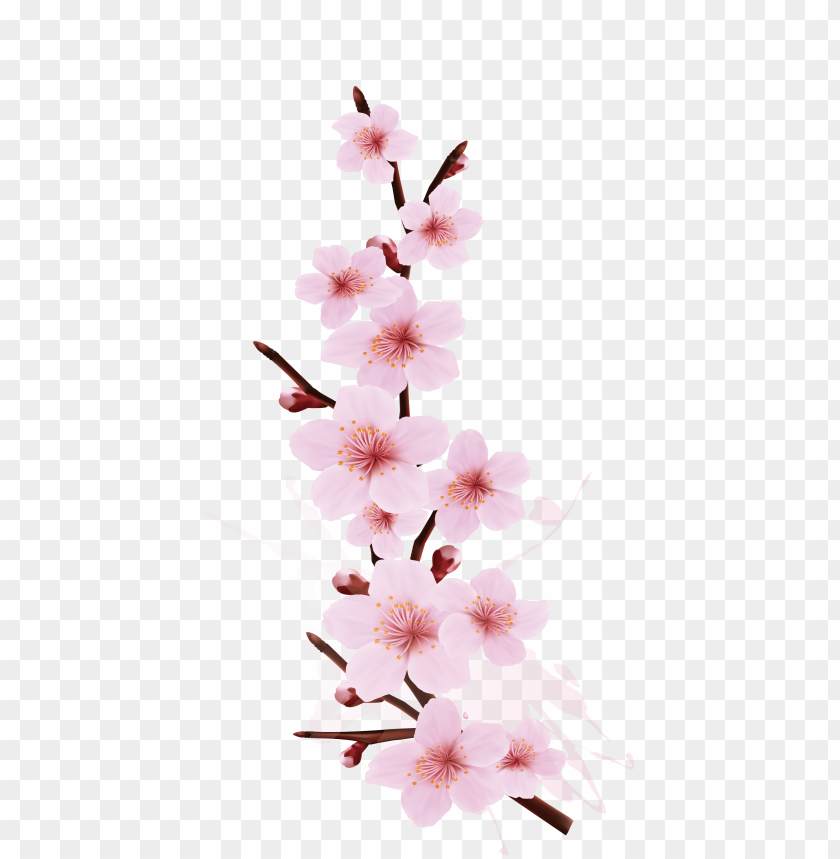 Detail Sakura Branch Png Nomer 16