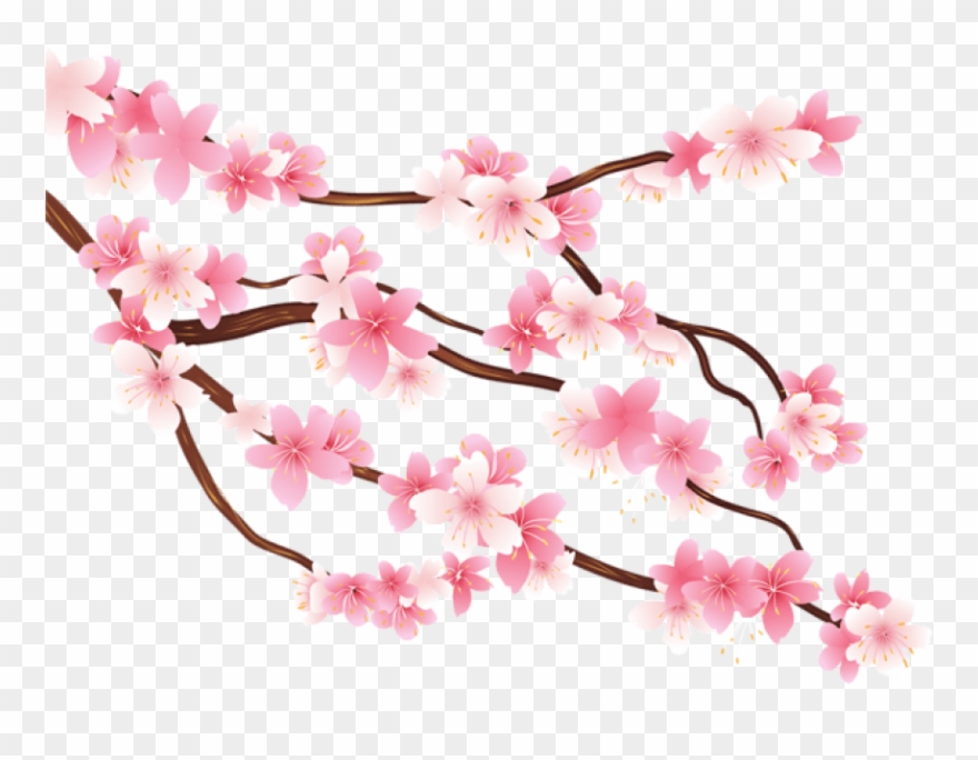 Detail Sakura Branch Png Nomer 19