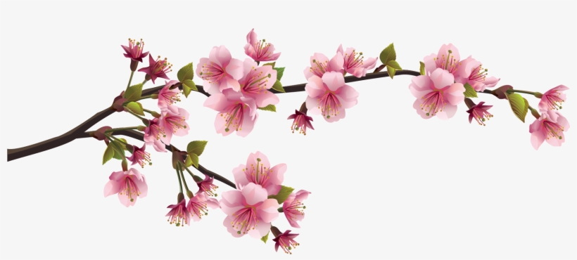 Detail Sakura Branch Png Nomer 3