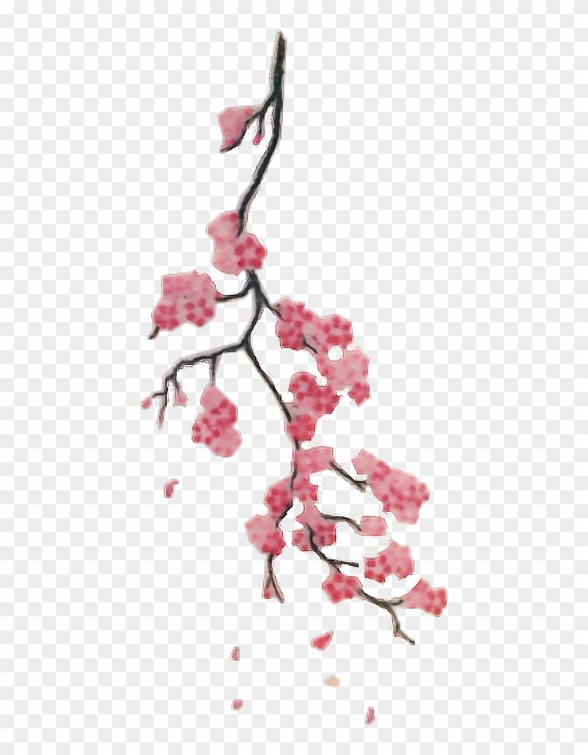 Detail Sakura Branch Png Nomer 37