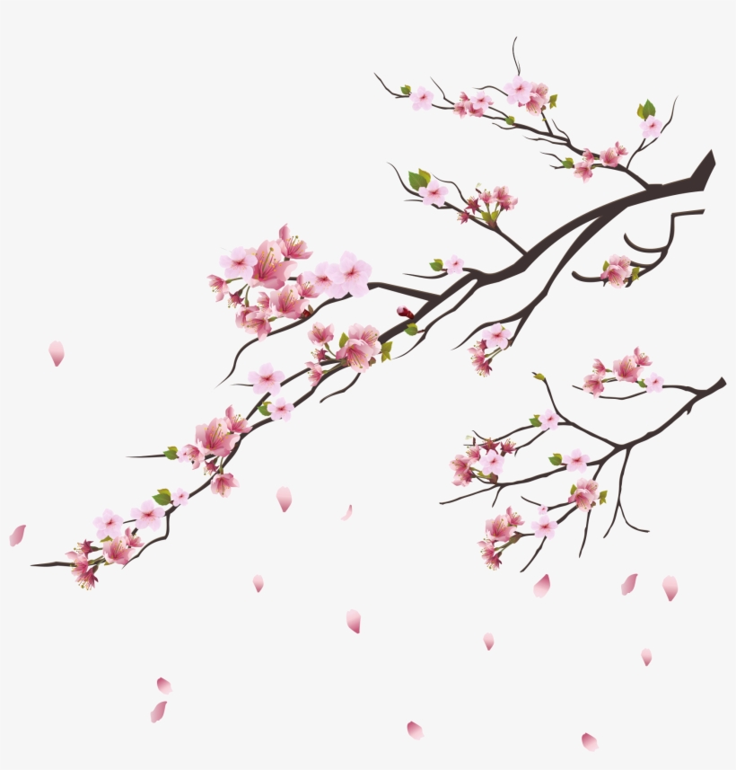 Detail Sakura Branch Png Nomer 6