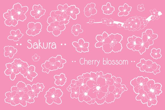 Detail Sakura Brush Photoshop Nomer 44