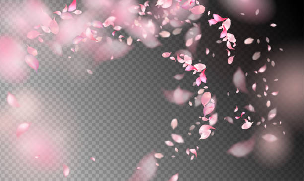 Detail Sakura Brush Photoshop Nomer 49