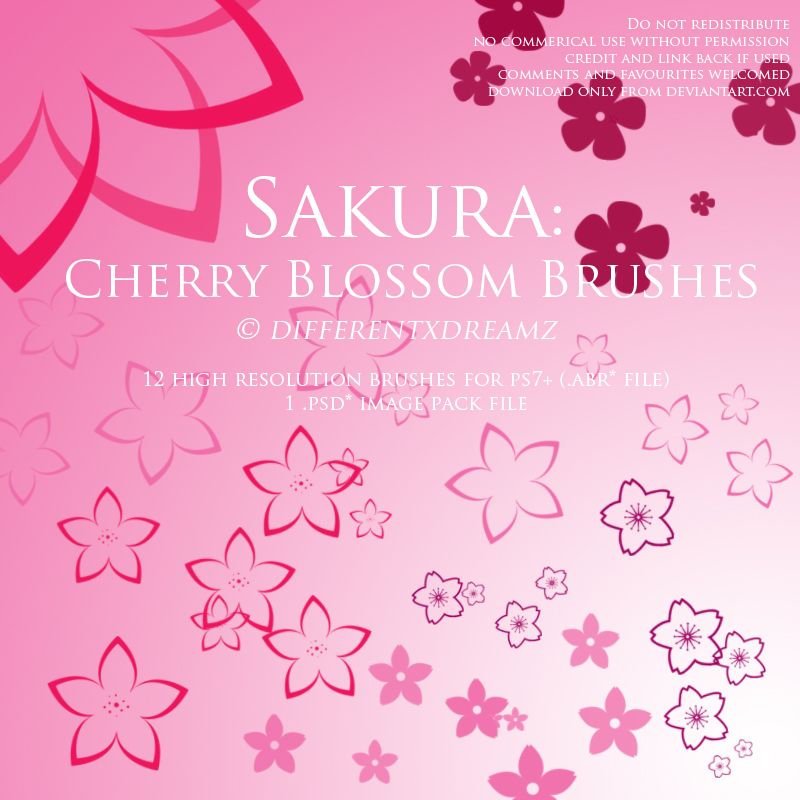 Detail Sakura Brush Photoshop Nomer 10