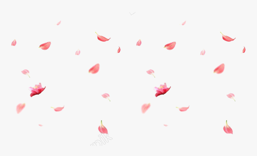 Sakura Fall Png - KibrisPDR