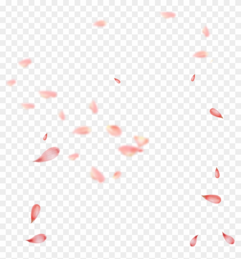 Detail Sakura Fall Png Nomer 3