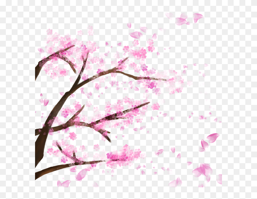 Detail Sakura Fall Png Nomer 37