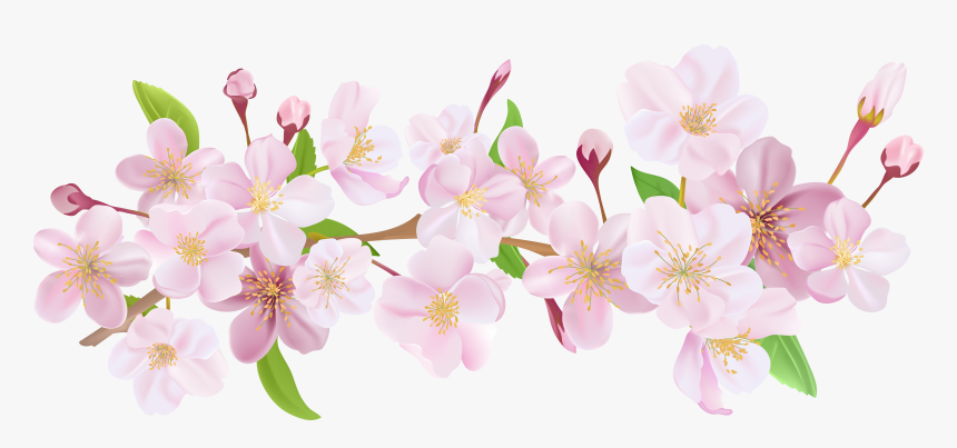 Detail Sakura Flower Clipart Nomer 18