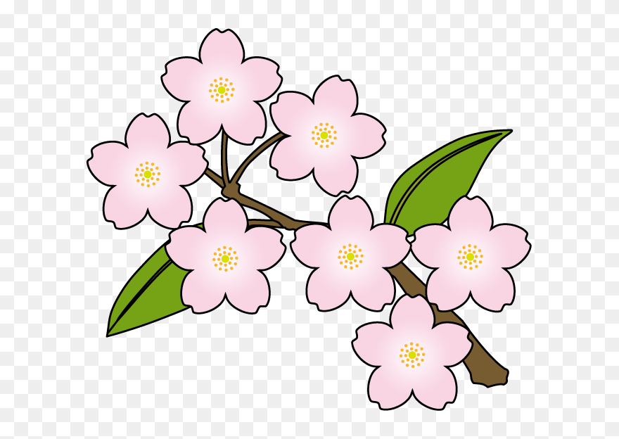 Detail Sakura Flower Clipart Nomer 19