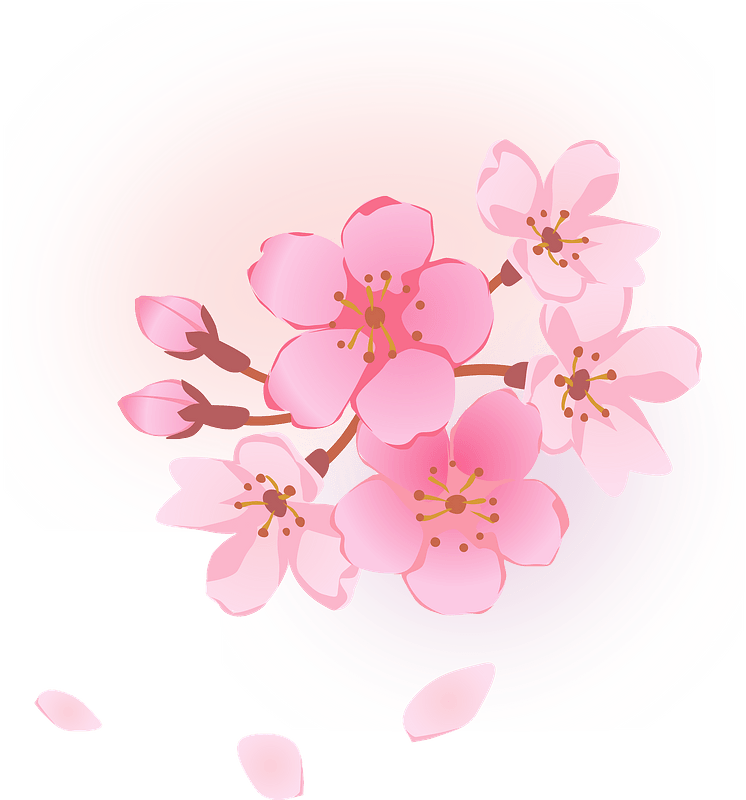 Detail Sakura Flower Clipart Nomer 48
