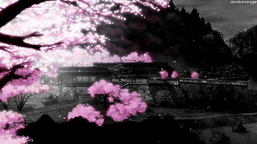 Detail Sakura Flower Gif Nomer 8
