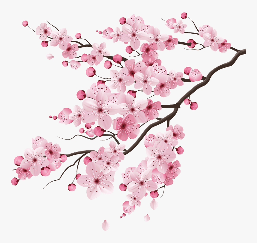 Detail Sakura Flower Png Nomer 12