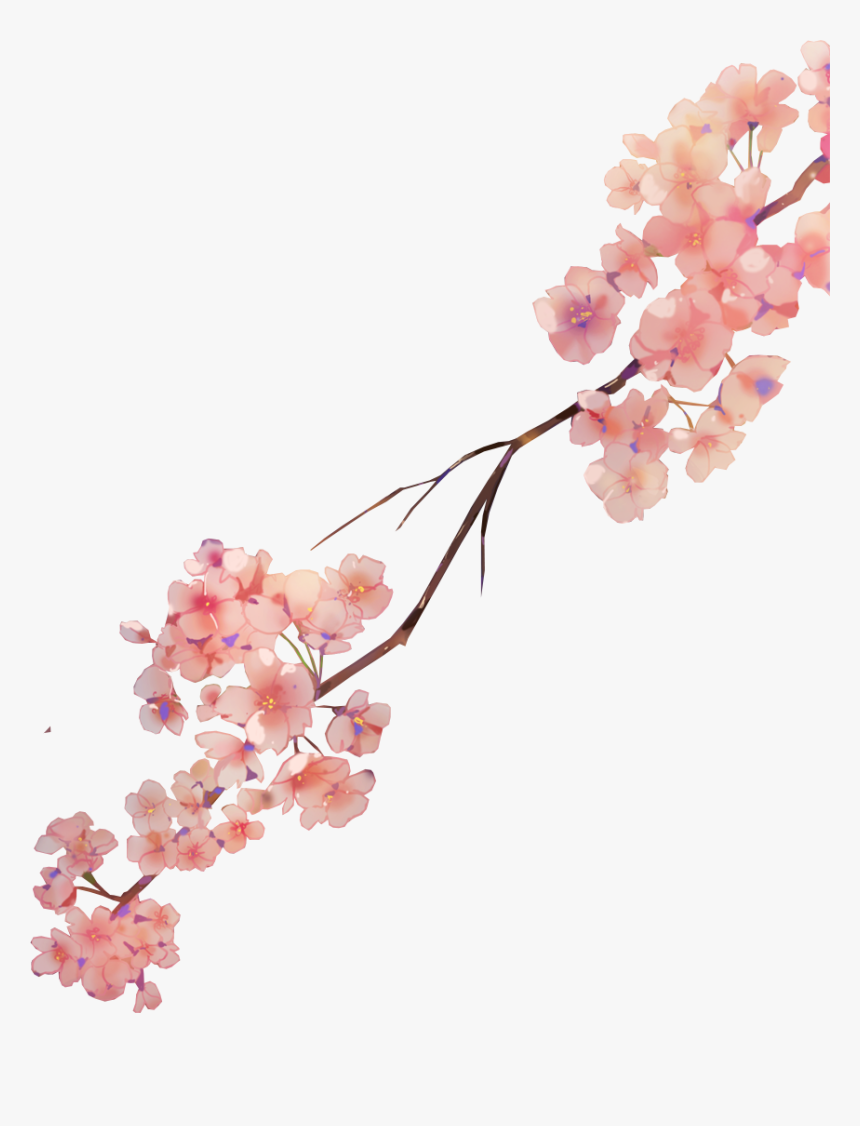 Detail Sakura Flower Png Nomer 28