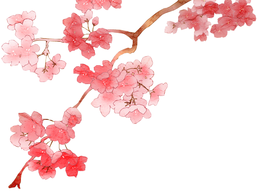 Detail Sakura Flower Png Nomer 6