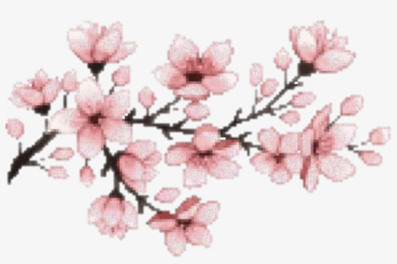 Detail Sakura Flower Transparent Nomer 23