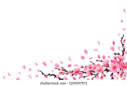 Detail Sakura Flower Transparent Nomer 24