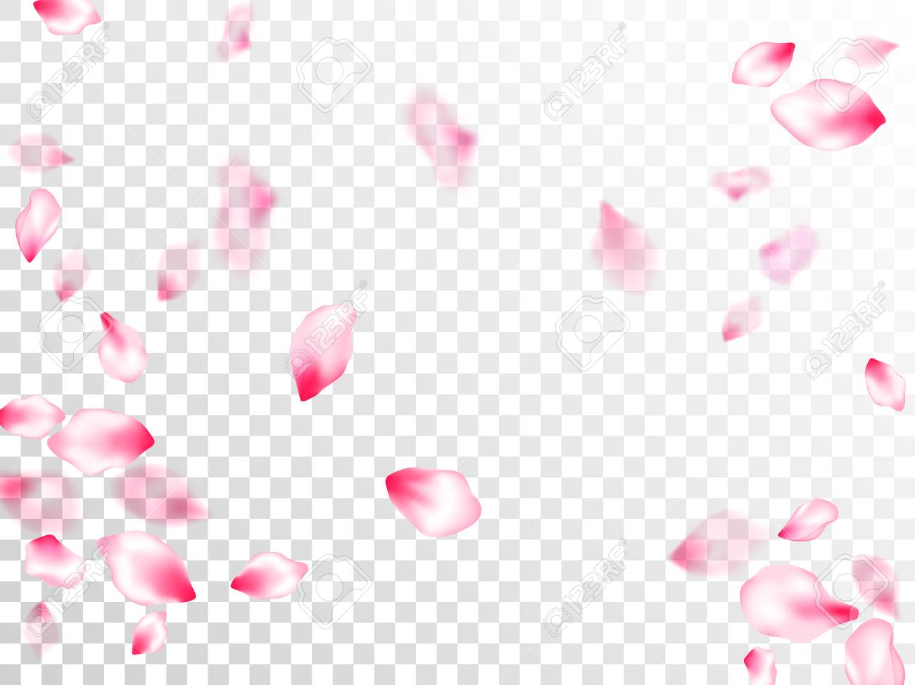 Detail Sakura Flower Transparent Nomer 26