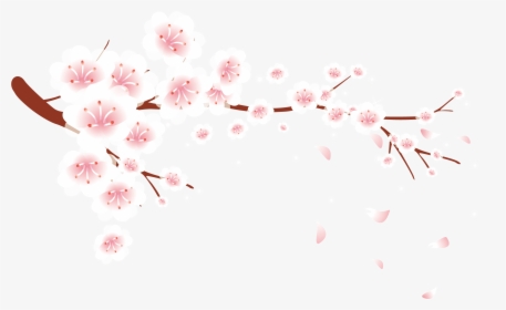 Download Sakura Flower Transparent Nomer 32